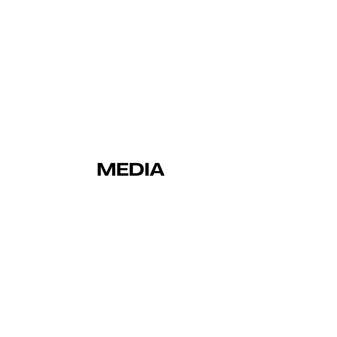 The logo for Elite Media Mechanics agency. The design is a bold, modern, and stylized wordmark in white on a black background, enclosed in a thin white rectangular border. The word 'MEDIA' is inverted (white text on a black block within the wordmark).